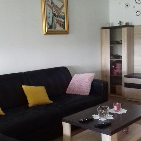 Apartman Lana ,Froudeova Ulica 3 Nasuprot Zg Velesajma Apartment Zagreb Exterior photo